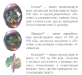 Изображение на обложке
